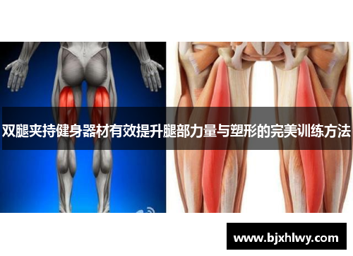 双腿夹持健身器材有效提升腿部力量与塑形的完美训练方法