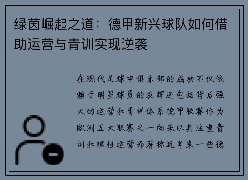 绿茵崛起之道：德甲新兴球队如何借助运营与青训实现逆袭
